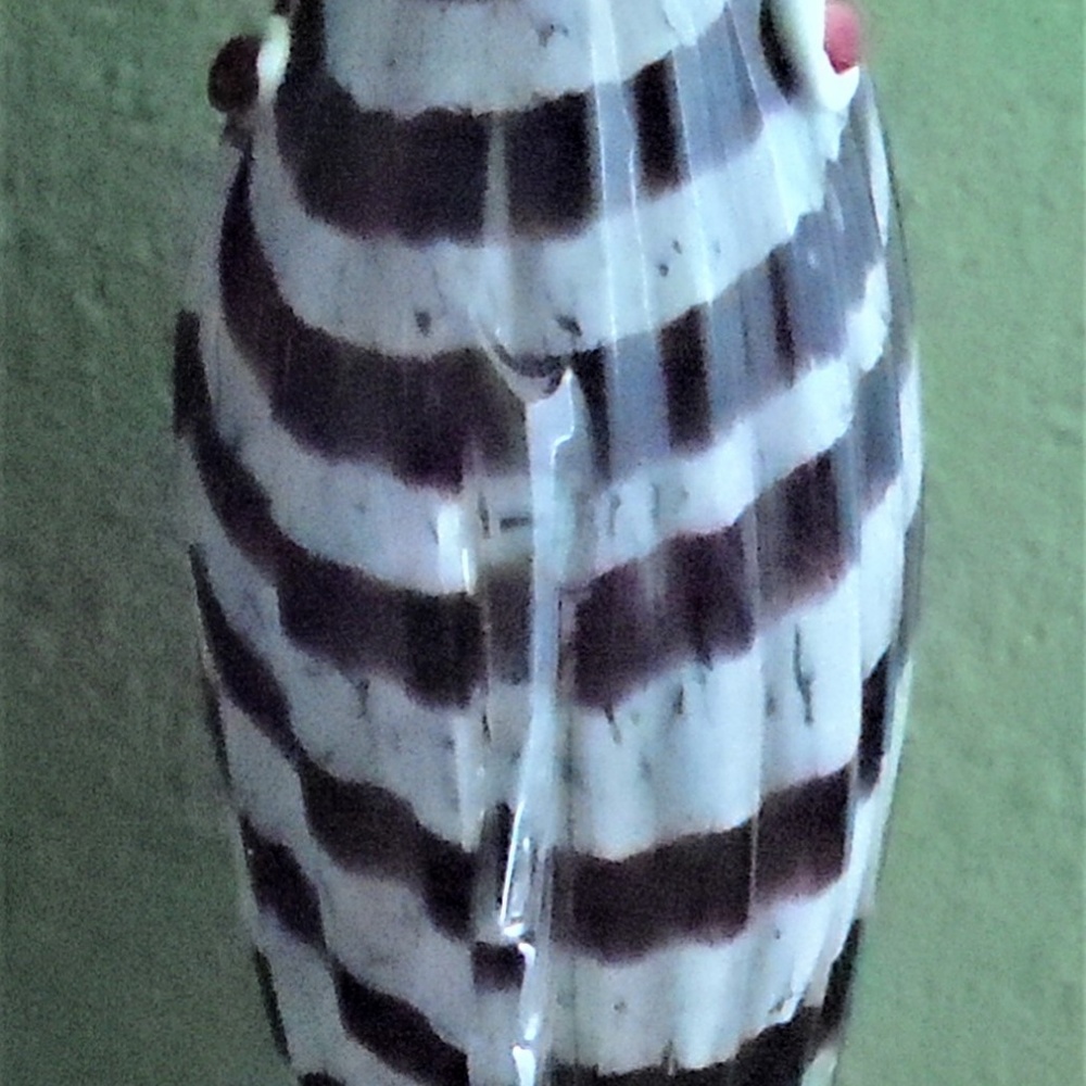 Hand Blown Striped Amethyst Glass Fish Vase/Bottle - Picture 6 of 7